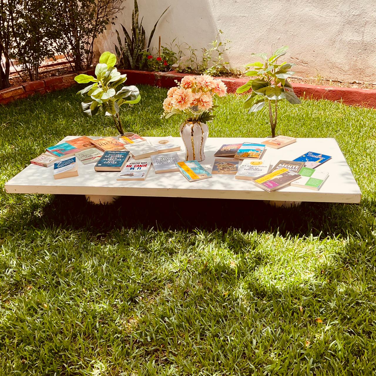 Mesa de Libros